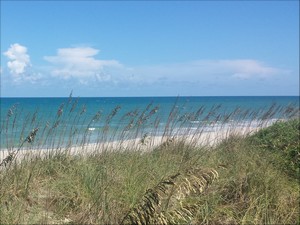 SEA OATS 300 225